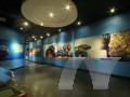 National Geological Museum Image 6